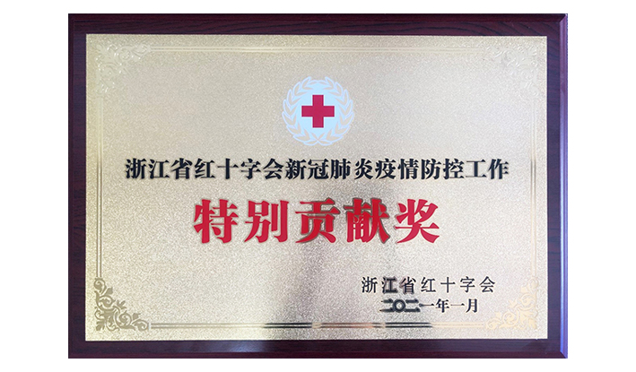 浙江省红十字会授予乐鱼买球-乐鱼中国“新冠疫情防控特别贡献奖”